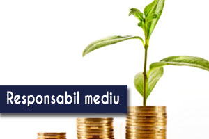 Responsabil mediu